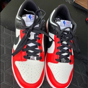Nike Dunk Low Retro 75th anniversary sneakers